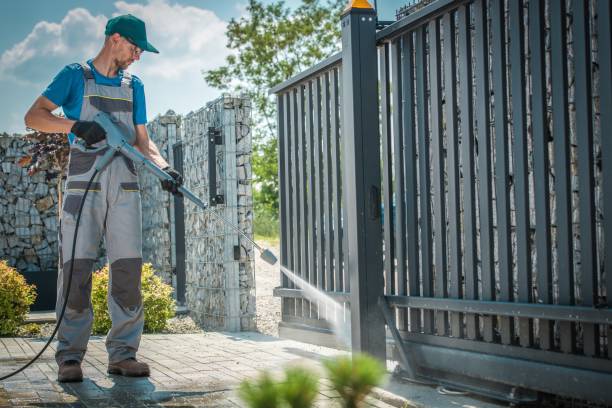 Animal Enclosure Cleaning in Solvay, NY